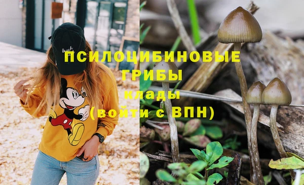 СК Верхний Тагил